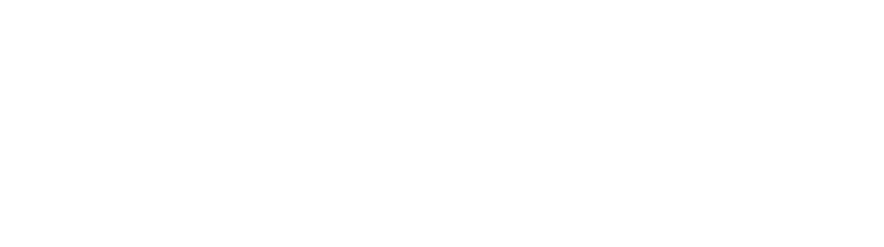 Pairallel Brands